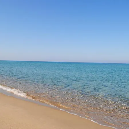 I Muci Gioiosa Marea