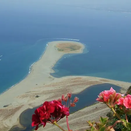 I Muci * Gioiosa Marea
